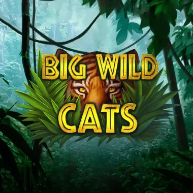 Big Wild Cats